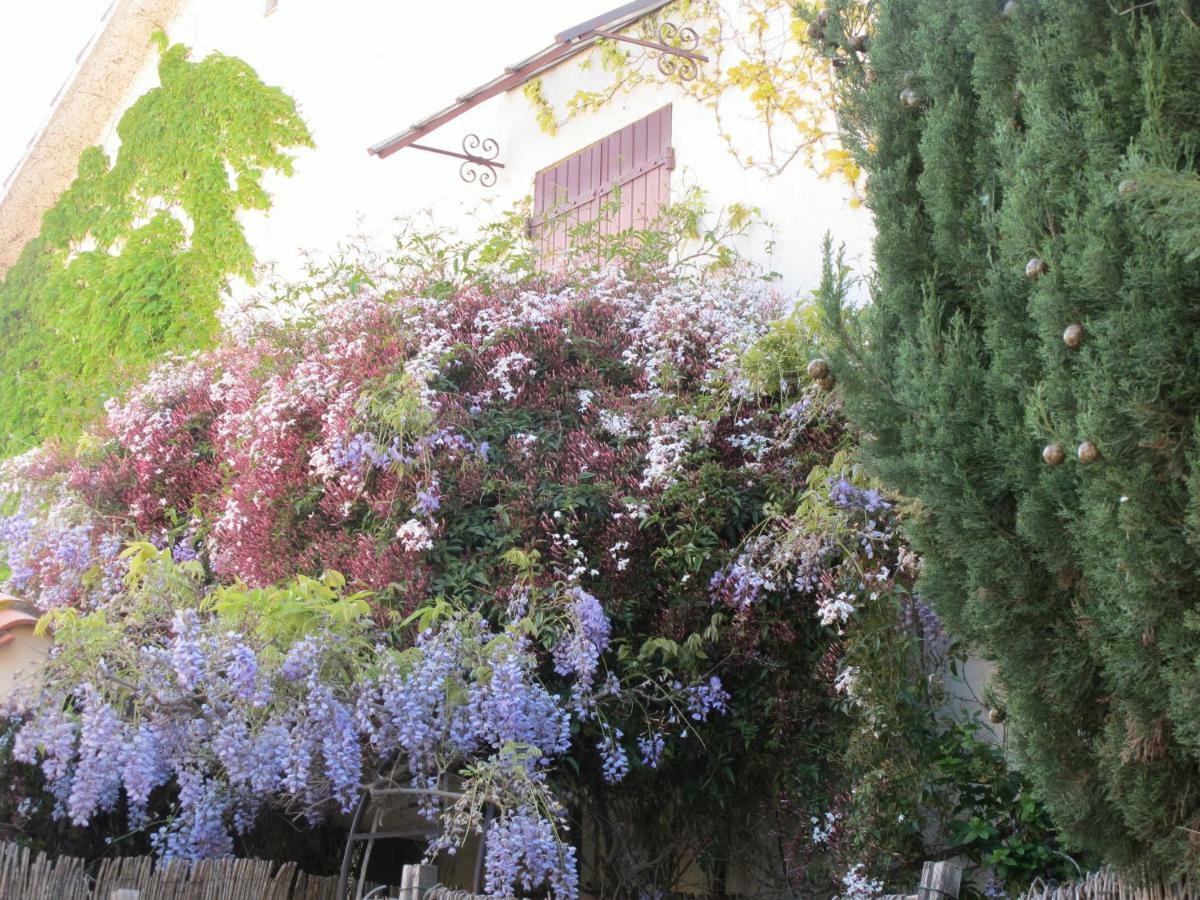 Casa-Tena-Sorède Exteriör bild