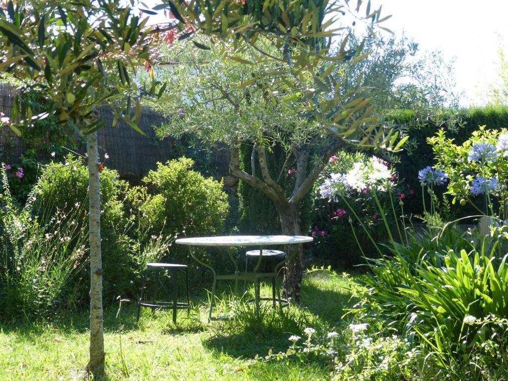 Casa-Tena-Sorède Rum bild