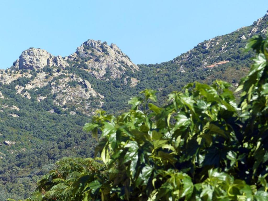 Casa-Tena-Sorède Rum bild