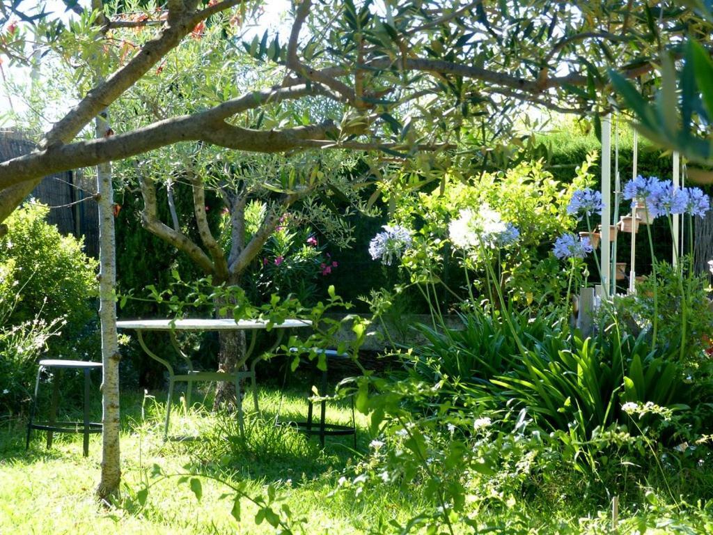 Casa-Tena-Sorède Rum bild